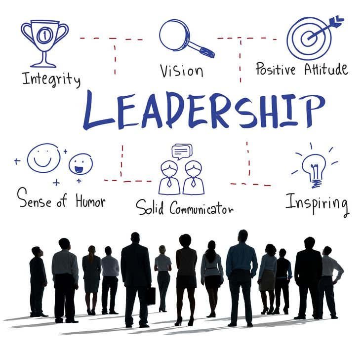 Leadership and organizational development